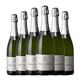 Mas Codina Brut Cava Reserva 75 cl Espumoso blanco (Caja de 6 Botellas de 75 cl)