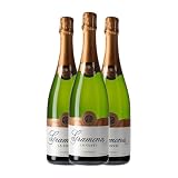Gramona La Cuvée Brut Corpinnat 75 cl Espumoso blanco (Caja de 3 Botellas de 75 cl)