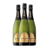Codorníu Cuvée 150 Aniversario Cava 75 cl Espumoso blanco (Caja de 3 Botellas de 75 cl)