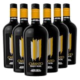 Caranto Pinot Noir IGT Delle Venezie Astoria Vino Tinto Italiano (6 botellas 75 cl.)