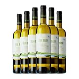 Itsasmendi Hondarribi Zuri Bizkaiko Txakolina 75 cl Vino blanco (Caja de 6 Botellas de 75 cl)