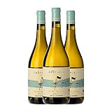 Vins de La Memòria La Bruixa Terra Alta Joven 75 cl Vino blanco (Caja de 3 Botellas de 75 cl)