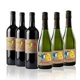 Montesquius Naturelovers - Pack Degustación 6 Botellas Ecológicas y Veganas: 3 Cavas Brut Nature Reserva 2020 + 3 Vinos Tintos Merlot 2021 D.O. Penedès