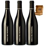 Bodegas Habla - Envío 24h - Mejor Vino de España - Cosecha Privada (3 x Botella 75 cl, Habla del Silencio)