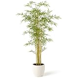 edihome, Planta Artificial Grande, Bambú Artificial 150 cm, Decorativas, Árbol, Decoración Hogar, para Interior, Oficina, Hoteles, Eventos – Planta Realista con Cañas Naturales y Verde (Bamboo, 150)