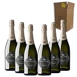 Follador Fárder Prosecco - Para Disfrutar en Celebraciones y con los Tuyos - Pack 6 Botellas 75cl
