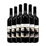 San Valero Particular Garnacha Cariñena Joven 75 cl Vino tinto (Caja de 6 Botellas de 75 cl)