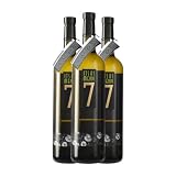 Itsasmendi Txakoli Nº 7 Hondarribi Zerratia Bizkaiko Txakolina 75 cl Vino blanco (Caja de 3 Botellas de 75 cl)
