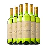 **Sumarroca Vino Blanco: Análisis y Comparativa de los Mejores Blancos**