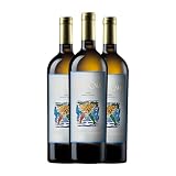 Can Ràfols Gran Caus Penedès 75 cl Vino blanco (Caja de 3 Botellas de 75 cl)