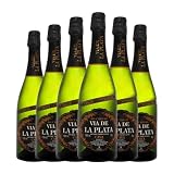Vía de la Plata Brut Nature Cava 75 cl Espumoso blanco (Caja de 6 Botellas de 75 cl)