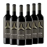 Portia Crianza 2019: análisis y comparativa de un tinto crianza destacado