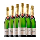 Codorníu Clásico Brut Nature Cava Joven 75 cl Espumoso blanco (Caja de 6 Botellas de 75 cl)