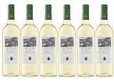 **Cotó Blanc: análisis y comparativa de los mejores vinos blancos**