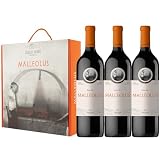 Malleolus: análisis y comparativa del vino y su precio para elegir la mejor opción