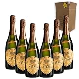 Cava Vía de la Plata Chardonnay Brut Nature - Para Disfrutar en Celebraciones y con los Tuyos - Pack 6 Botellas 75cl