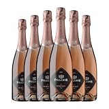 Follador_Vinos espumoso y champanes - 6 Paquetes de 6 x 125 ml - Total: 4500 ml