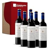 Viña Salceda La Tejera Reserva 2020 Tinto D.O.Ca. Rioja 6 Botellas x 75 cl