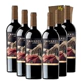 Tridente Prieto Picudo - Ideal para Maridar con Carne y Comida Mediterránea - Pack 6 Botellas 75cl