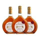 Armagnac Halcool. Baron Lacastagne 70 cl (Caja de 3 Botellas de 70 cl)