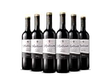 Azpilicueta Crianza Pack 6 botellaS D.O.Ca Rioja Vino Tempranillo - 750 ml