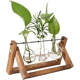 PUWOWYE Estación de Propagación para Plantas Vintage, Bombillas Jarrón con Soporte de Madera, Jarrón Hidropónico de Vidrio, Ideas Regalos Mujer