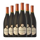 Zuazo Gaston Tempranillo Rioja Crianza 75 cl Vino tinto (Caja de 6 Botellas de 75 cl)