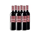 Etcetera Tinto - pack de 6 de 750 ml - Total: 4500 ml