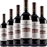 Dehesa de los Canónigos 15 Meses Vino Tinto Ecológico con Crianza, Aromas Frutales y Notas de Roble, Ideal para Carnes, Guisos y Quesos Curados| 6 botellas