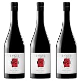 Bodega Enate - Vino Tinto Merlot-Merlot - Pack de 3 Botellas de 75cl - D.O. Somontano - Amplio y Complejo Abanico Aromático - Recuerdos de Frutos Rojos y Notas Balsámicas y Especiadas