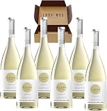 Vino Blanco Valdeorras O Luar Do Sil Godello - x6 Botellas Vino Blanco de Ourense 100% Godello - Bodega Pago de los Capellanes 75 cl - Mejor Selección ENOVINOS THE WINE BRAND