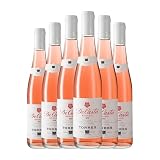 Torres Casta Rosat Penedès Media Botella 37 cl Vino rosado (Caja de 6 Media Botella de 37 cl)