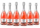 Canti - Spumante D.O.C. Cuvèe, Vino Espumoso Rosado Extra Seco, Uva Glera y Pinot Noir de Veneto, Sabor Fresco y Afrutado, 6x750 ml
