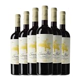 Juan Gil 4 Meses Monastrell Jumilla 75 cl Vino tinto (Caja de 6 Botellas de 75 cl)