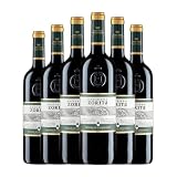 Hacienda Zorita Marqués de la Concordia Arribes Roble 75 cl Vino tinto (Caja de 6 Botellas de 75 cl)
