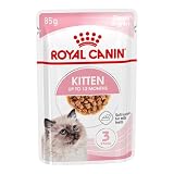 Royal Canin Kitten | 12 x 85 g | Comida húmeda para gatitos | Finos trocitos en salsa | Especialmente para gatitos en la segunda fase de crecimiento hasta los 12 meses