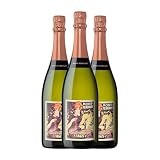 **Mont-Ferrant Cava: Análisis y Comparativa de los Mejores Vinos Espumosos**