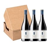 Análisis y comparación del vino La Hormiga de Antídoto 2019: estilo, calidad y personalidad