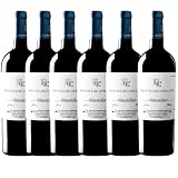 Caja de 6 Botellas Pago de los Capellanes Joven Roble 2020 (6x75cl)