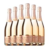 Caves Ramón Canals Marta Passió Rosé Brut Cava Reserva 75 cl Espumoso rosado (Caja de 6 Botellas de 75 cl)