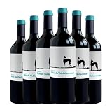 Valderiz Sitio de Valdehermoso Tempranillo Ribera del Duero 75 cl Vino tinto (Caja de 6 Botellas de 75 cl)