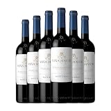 Viña Mayor Ribera del Duero Roble 75 cl Vino tinto (Caja de 6 Botellas de 75 cl)