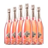 Segura Viudas Rosé Brut Cava 75 cl Espumoso rosado (Caja de 6 Botellas de 75 cl)