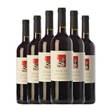 Enate Cabernet Sauvignon-Merlot Somontano Joven 75 cl Vino tinto (Caja de 6 Botellas de 75 cl)