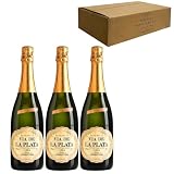 Cava Vía de la Plata Semiseco - Para Disfrutar en Celebraciones y con los Tuyos - Pack 3 Botellas 75cl
