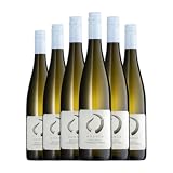Weingut Hörner Riesling-Gewurztraminer Pfälz 75 cl Vino blanco (Caja de 6 Botellas de 75 cl)