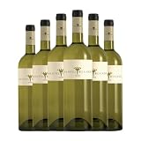Vino mantel blanco: análisis y comparativa de los mejores vinos para maridar con mesas elegantes