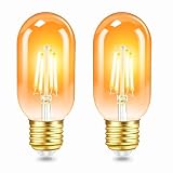 Vintage Edison Bombillas E27 LED 4W (Equivalente a 40W), T45 LED Filamento, Ambar Blanco Cálido 2200K, 400LM, AC 220V-240V, No Regulable, Decoración Iluminación para Hogar, Cafés, Bares, 2 Piezas
