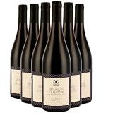 Beaujolais Villages: Análisis y Comparativa de los Mejores Vinos para Elegir el Tuyo
