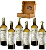 Javier Sanz Verdejo - Envío 24H - Estuche 6 Botellas - Medalla de Oro - DO Rueda - Vino Regalo - Seleccionado y Enviado por Cosecha Privada